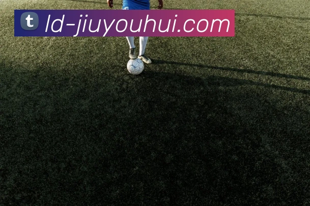 九游会官网平台生态图